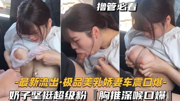 最新流出，极品美乳娇娘车震口爆